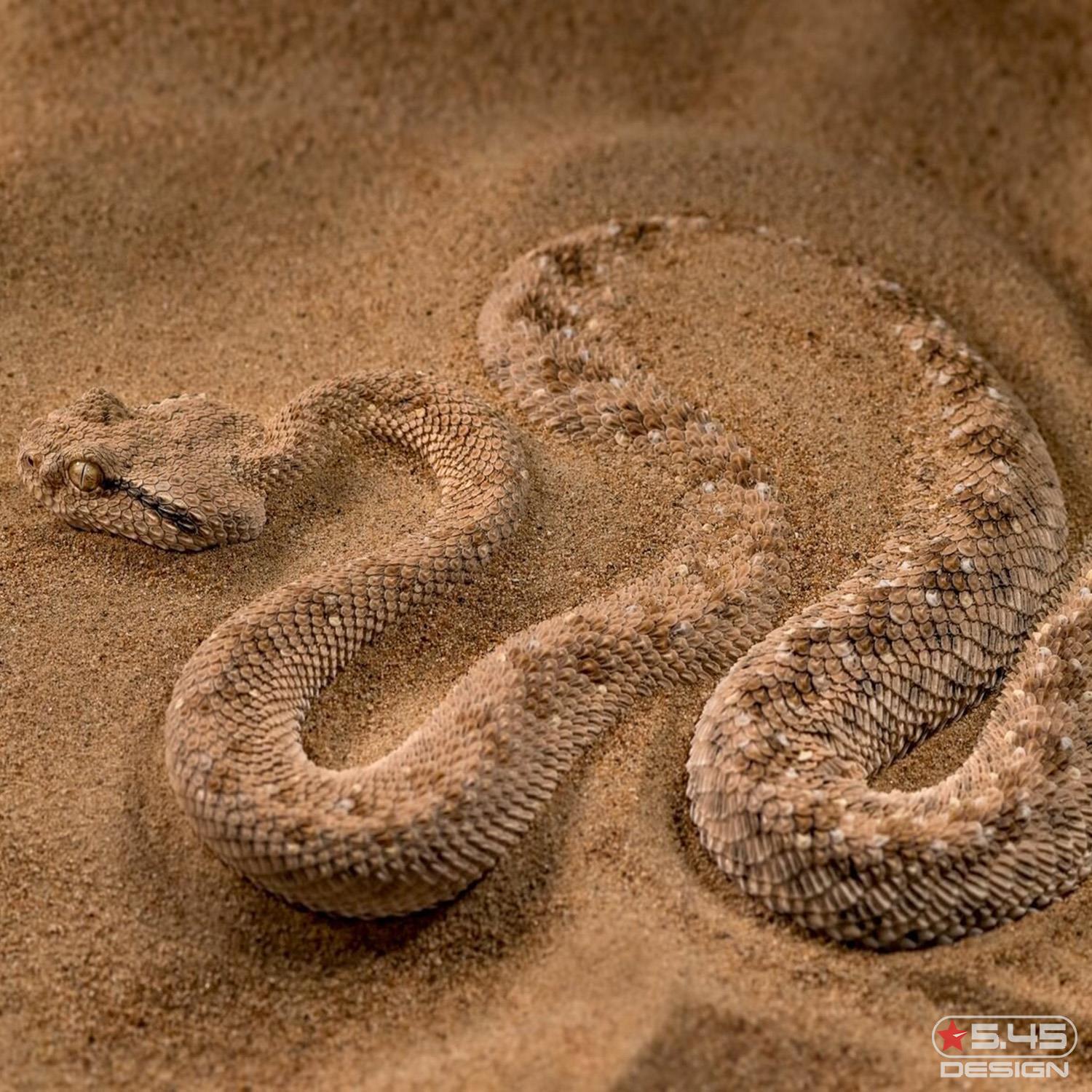 Змеи повторяют оттенки песка